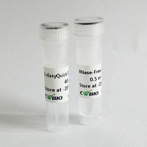 Reagente transcrittasi inversa - EasyQuick RT - Jiangsu CoWin Biotech Co.,Ltd - per Rt-qPCR
