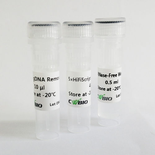 Reagente enzima - HiFiScript - Jiangsu CoWin Biotech Co.,Ltd - transcrittasi inversa / per RT-PCR / per Rt-qPCR