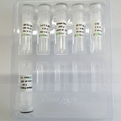 Reagente enzima - HiFiScript  - Jiangsu CoWin Biotech Co.,Ltd - transcrittasi inversa / per Rt-qPCR