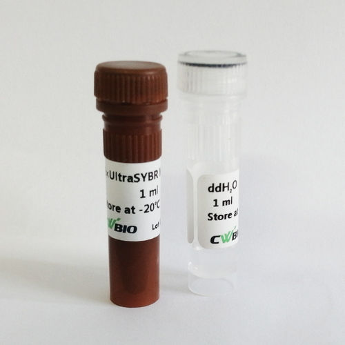Reagente enzima - UltraSYBR Mixture - Jiangsu CoWin Biotech Co.,Ltd - DNA polimerasi / Taq polimerasi / colorante