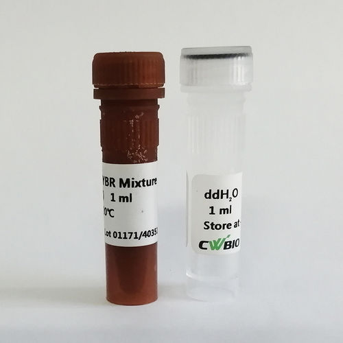 Reagente DNA polimerasi - UltraSYBR Mixture - Jiangsu CoWin Biotech Co.,Ltd - Taq polimerasi / soluzione tampone / colorante