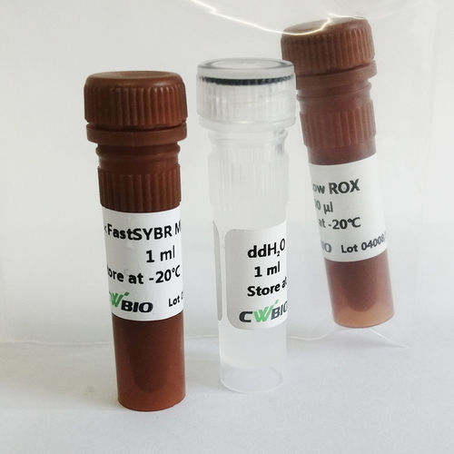 Reagente enzima - FastSYBR Mixture - Jiangsu CoWin Biotech Co.,Ltd - DNA polimerasi / Taq polimerasi / per qPCR