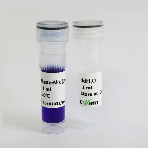 Reagente DNA polimerasi - 2×Es - Jiangsu CoWin Biotech Co.,Ltd - Taq polimerasi / per PCR