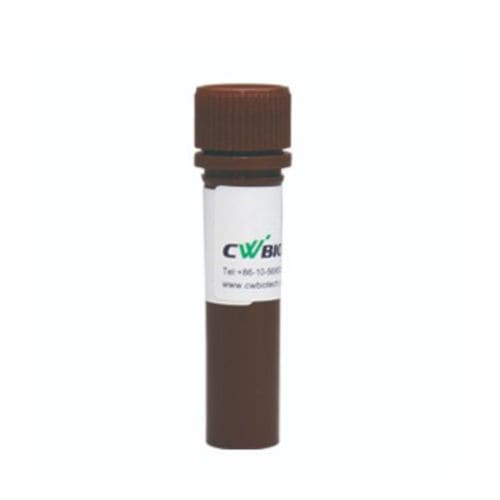 Reagente enzima - FastSYBR - Jiangsu CoWin Biotech Co.,Ltd - Taq polimerasi / per qPCR / con avviamento a caldo