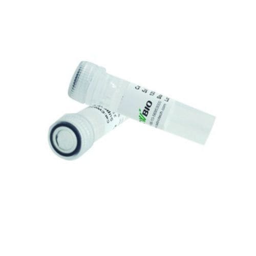 Reagente tampone di caricamento - 2×Super Pfx - Jiangsu CoWin Biotech Co.,Ltd - enzima / DNA polimerasi / per PCR