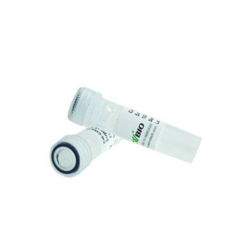 Reagente proteasi - CW2572L - Jiangsu CoWin Biotech Co.,Ltd - proteinasi K / microbiologico / di pH