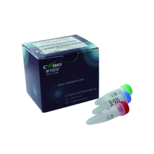 Kit di reagenti enzima - Jiangsu CoWin Biotech Co.,Ltd - DNA polimerasi / NGS / per sequenziamento di DNA