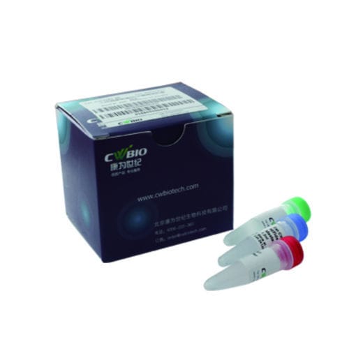 Kit di reagenti enzima - Jiangsu CoWin Biotech Co.,Ltd - DNA polimerasi / NGS / per preparazione di banche del DNA