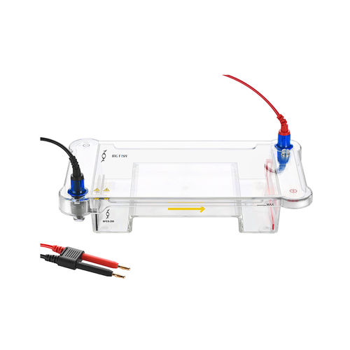 Camera di elettroforesi orizzontale - BFEB-200 - Hangzhou Bigfish Bio-tech Co., Ltd.
