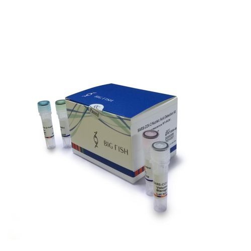 Kit di test per diagnosi COVID-19 - BFRT06M series - Hangzhou Bigfish Bio-tech Co., Ltd. - genetico / SARS-COV-2 / per acidi nucleici