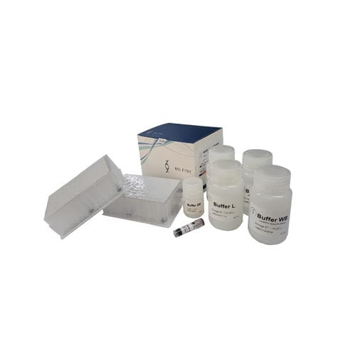 Reagente in soluzione - BFMP08 series - Hangzhou Bigfish Bio-tech Co., Ltd. - per PCR / per RT-PCR / del coronavirus