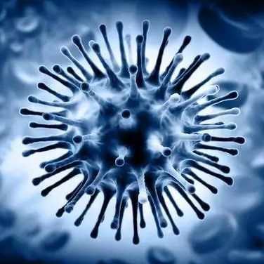 Kit di test per malattie infettive - Artron Bioresearch Inc. - dell'influenza A / dell'influenza B / nasofaringeo
