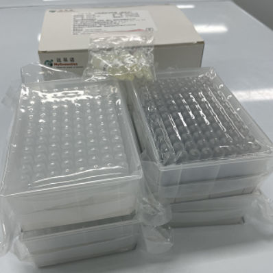 Kit di reagenti in soluzione - MyGenostics Inc. - diagnostico / per estrazione di DNA / per acidi nucleici