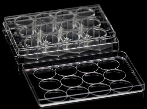 Micropiastra da laboratorio - MGN-C07 - MyGenostics Inc. - per coltura tessutale / di cellule