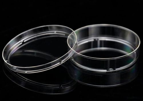 Piastra Petri - MGN-C08 - MyGenostics Inc.
