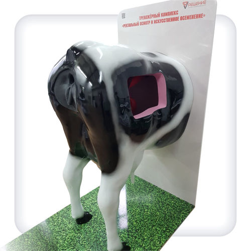 Simulatore didattico - B1002 - SATC solution - di palpazione rettale / veterinario / di bovino