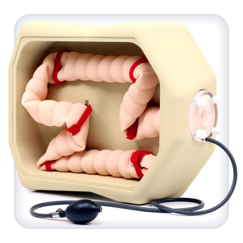 Simulatore per biopsia - M1118 - SATC solution - per coloscopia / di anatomia / per gastroenterologia