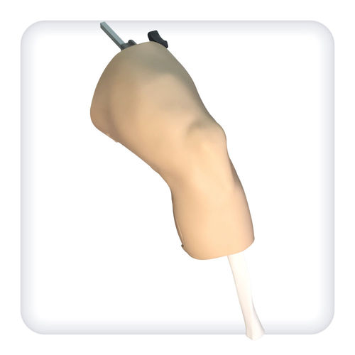 Simulatore per artroscopia - M1127 - SATC solution - per chirurgia / di anatomia / per ginocchio