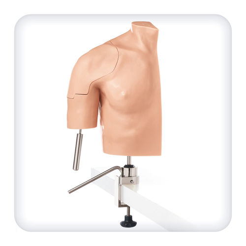 Simulatore per artroscopia - M1128 - SATC solution - per chirurgia / di anatomia / di spalla