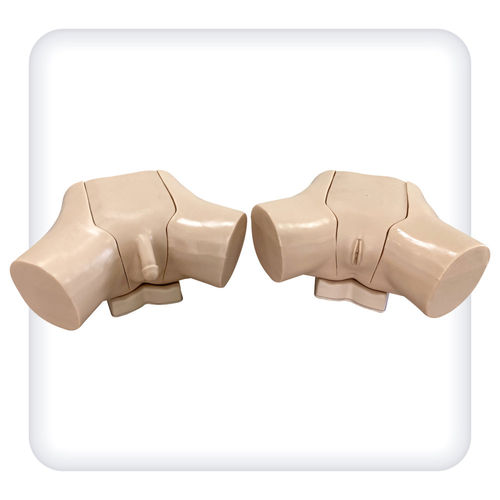 Simulatore didattico - M1099 - SATC solution - per cataterismo / per cure urologiche / di anatomia