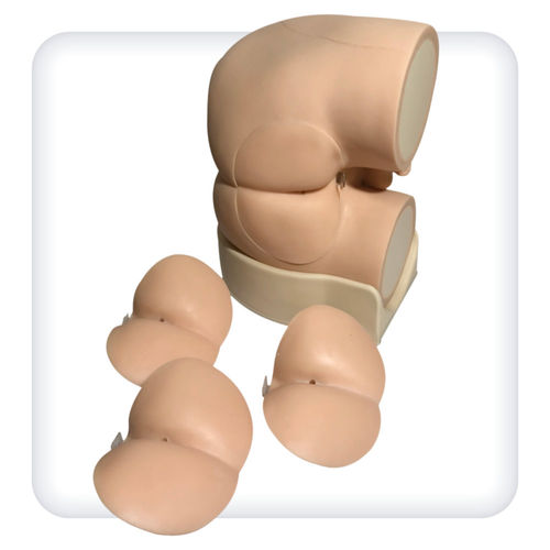 Simulatore di palpazione prostatica - M1144 - SATC solution - di palpazione rettale / per cure urologiche / maschile