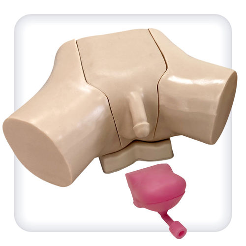 Simulatore didattico - M1132 - SATC solution - per cataterismo / per cure urologiche / di uomo