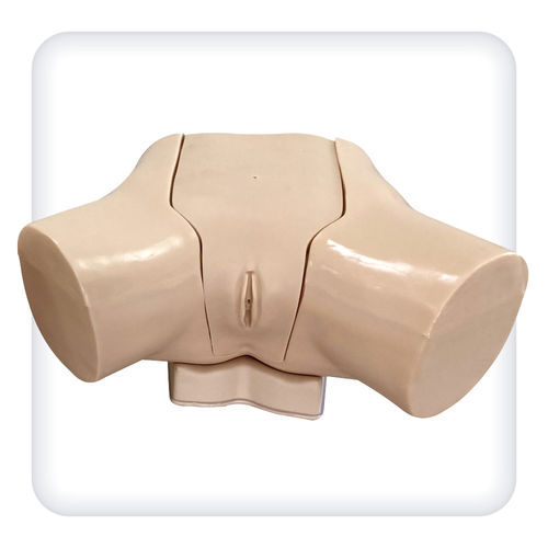Simulatore per cateterismo urinario - M1114 - SATC solution - per cure urologiche / femminile / di torso