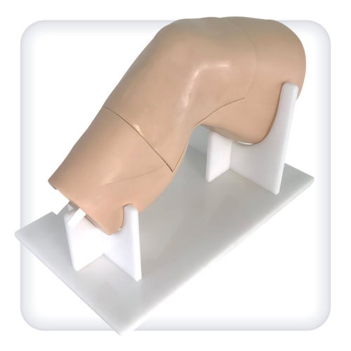 Modello anatomico di articolazione - M1110 - SATC solution - per ginocchio / arti inferiori / per chirurgia