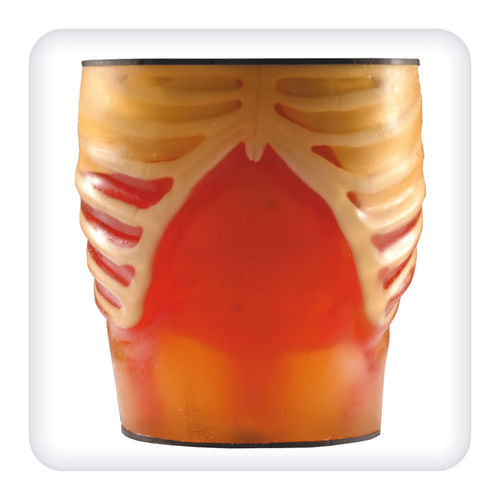 Phantom di calibrazione per ecografia - M1113 - SATC solution - di torso