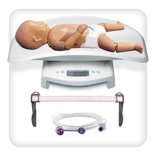 Modello anatomico di articolazione - M1082 - SATC solution - di testa / facciale / nasale