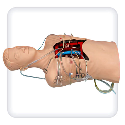 Simulatore per sutura - M1109 - SATC solution - per incannulamento endovenoso / per cardiochirurgia / di torso