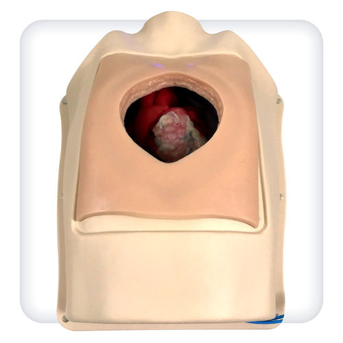 Simulatore didattico - M1143 - SATC solution - di frequenza cardiaca / per cardiochirurgia / di anastomosi