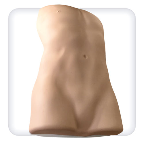 Simulatore ad uso didattico - M1135 - SATC solution - di palpazione / per auscultazione / per gastroscopia