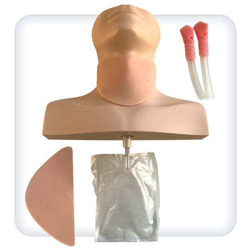 Simulatore per cricotiroidotomia - M1133 - SATC solution - per interventi di emergenza / di testa / in poliuretano