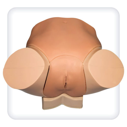 Simulatore didattico - M1142 - SATC solution - per cataterismo / per esame pelvico / per laparascopia