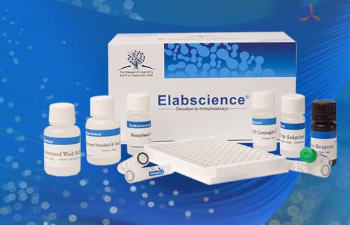 Kit di test da ricerca - QuicKey Pro™ - Elabscience Biotechnology Inc. - per interleuchina 6 (IL-6) / di densità / di siero
