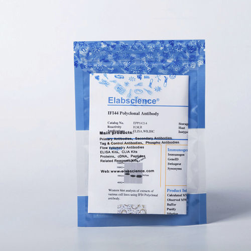 Reagente in soluzione - E-AB-V1002 - Elabscience Biotechnology Inc. - anticorpo monoclonale / dell'apoptosi / per western blot