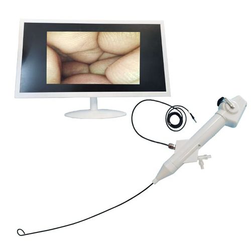 Videoureteroscopio monouso -  Ureter Flexible Nephroscope - Tianjin Guyufan Biological Technology