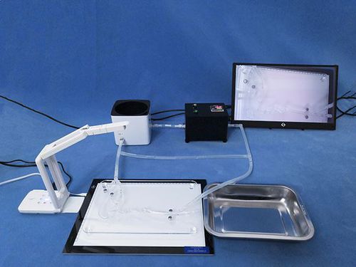 Simulatore didattico - Trando 3D Medical Technology - per chirurgia / portatile / di sistema circolatorio