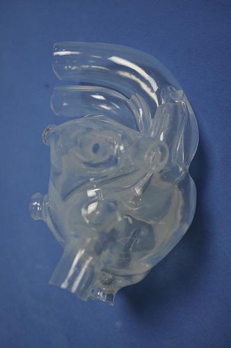 Modello anatomico di cuore - XX011D - Trando 3D Medical Technology - ad uso didattico / maschile / di adulto