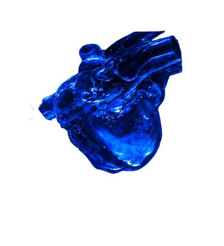 Modello anatomico di cuore - XXZ002 - Trando 3D Medical Technology - didattico / maschile / di adulto