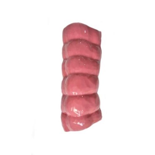 Modello anatomico di muscolo - HSX007 - Trando 3D Medical Technology - intestino crasso / corpo / per chirurgia
