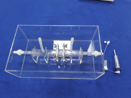 Modello anatomico di corpo intero - Trando 3D Medical Technology - didattico / trasparente