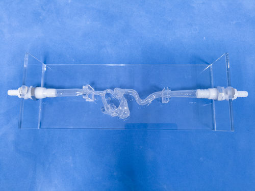 Modello vascolare di vasi sanguigni - SDL004 - Trando 3D Medical Technology - cerebrale / intracranico / per chirurgia vascolare