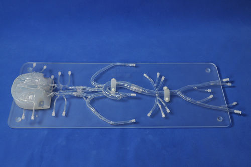 modello anatomico intracranico - Trando 3D Medical Technology