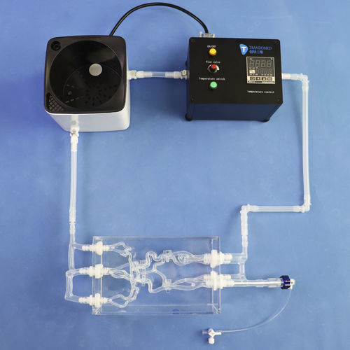 Modello vascolare di arteria - SJK002D-01 - Trando 3D Medical Technology - di arteria carotide / di vasi sanguigni / cerebrale