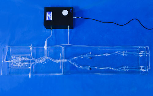 Modello anatomico per neurologia - FA003D - Trando 3D Medical Technology - di arteria femorale / per chirurgia mini-invasiva / didattico