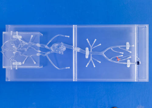 modello vascolare per neurologia - Trando 3D Medical Technology