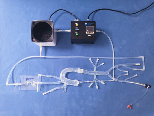 Modello vascolare intracranico - XXS011 - Trando 3D Medical Technology - di vasi sanguigni / di arteria / di arteria femorale