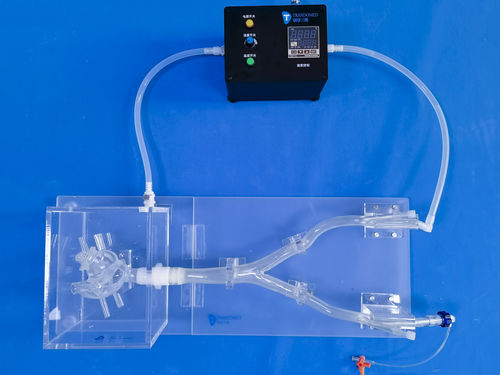 Simulatore didattico - XX013D - Trando 3D Medical Technology - per la sutura delle piaghe / per chirurgia vascolare